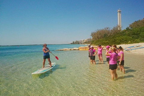 Golden Beach 1-Hour Stand-Up Paddleboard Hire On The Sunshine Coast - Darwin Holiday 1