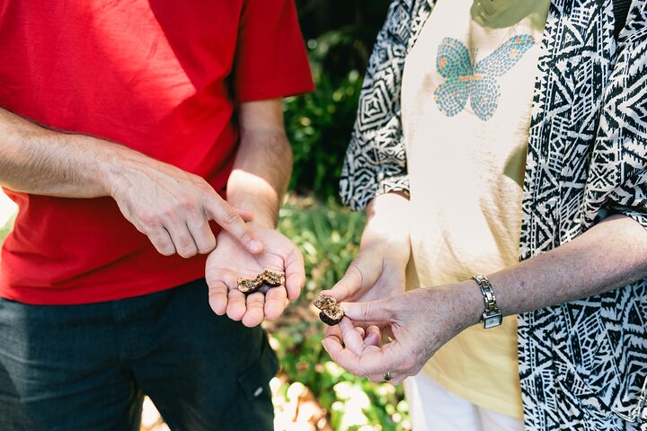 Perth WA Darwin Holiday