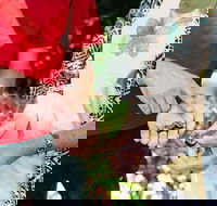 Perth Arcades and Laneways Walking Tour - Darwin Holiday