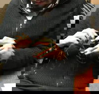 Melbourne's Jewish Scene - Darwin Holiday