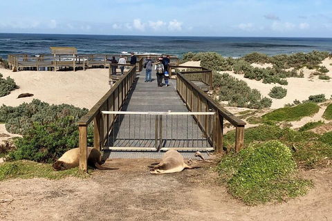 Kangaroo Island 4WD Tour - Best Of KI - Darwin Holiday 2